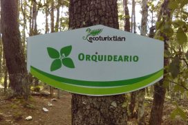 Orquideario de Ecoturixtlán