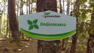 Orquideario de Ecoturixtlán