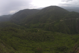 Cuidado de flora y fauna en Santa Catarina Lachatao