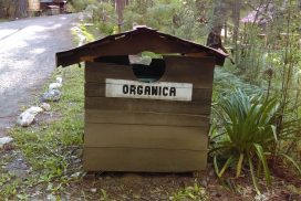 Manejo de basura en Ecoturixtlán